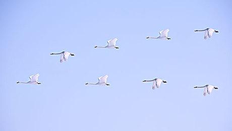 《Redemption Reapers》Steam页面上线 明年2月发售